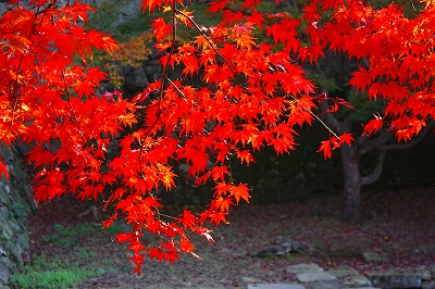 津山鶴山公園０１