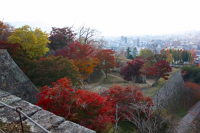 津山鶴山公園０２