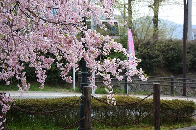 津山鶴山公園０３